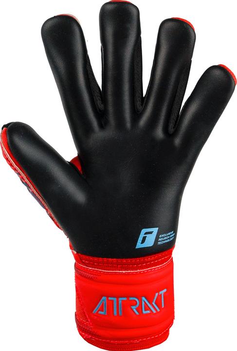 Actual product image Reusch Attrakt Duo (7.5)