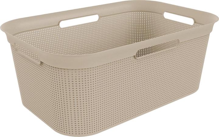 Rotho Breezes (41 l)