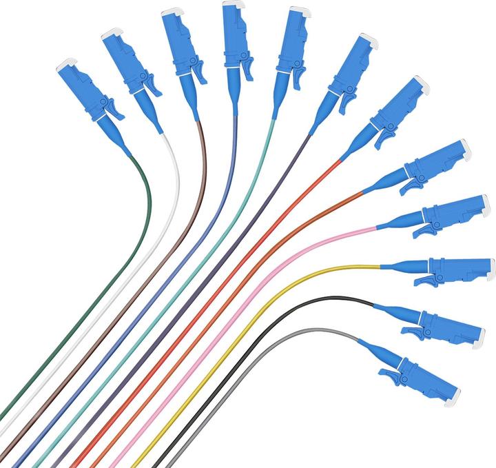 Actual product image Helos Fibre pigtail 12 x E2000® (LSH) UPC, OS2 9/125 (X) m, easy strip, 2.0m (2 m)