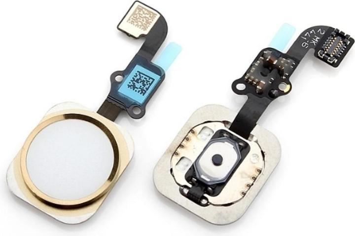 Actual product image Foxconn iPhone 6 Plus Home Button Flex Cable + Home Button + Rubber Ring gold (iPhone 6+)