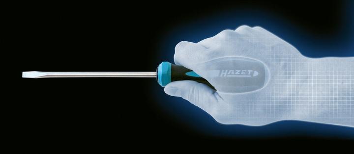 Image du produit HAZET Tournevis HEXAnamic 802-T30H ∙ Profil TORX tamper résistant ∙ T30H (Torx (TX))