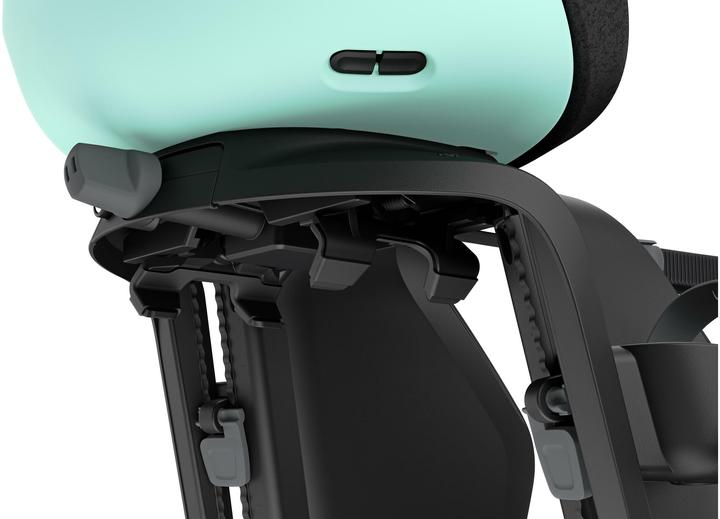 Actual product image Thule Child seat Yepp Nexxt 2 Maxi (GT) (Carrier)