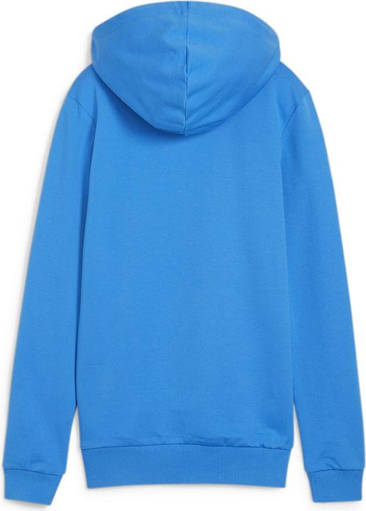 Produktbild Puma teamGOAL Casuals Hoody Wmn (S)