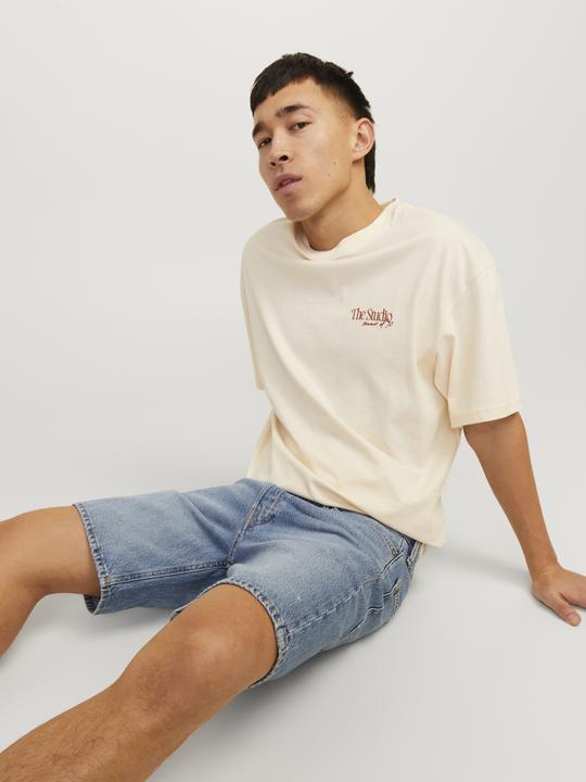 Actual product image Jack & Jones Jjichris Jjcooper Shorts Sbd 920 Sn (S)