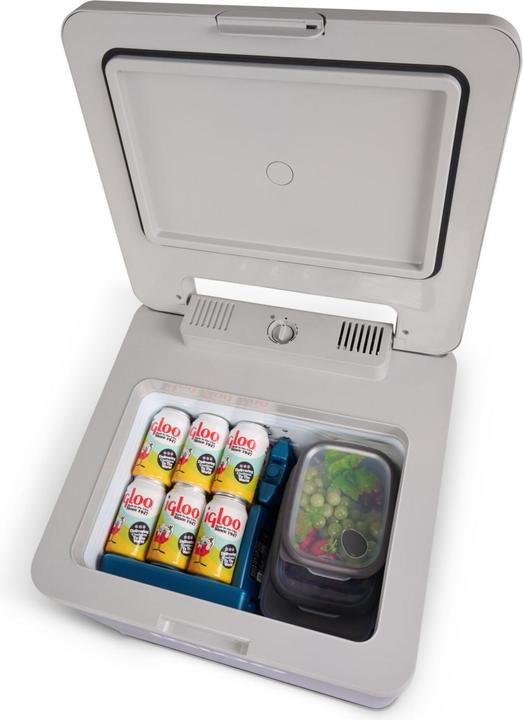 Image du produit Igloo IH 45 (43 l)