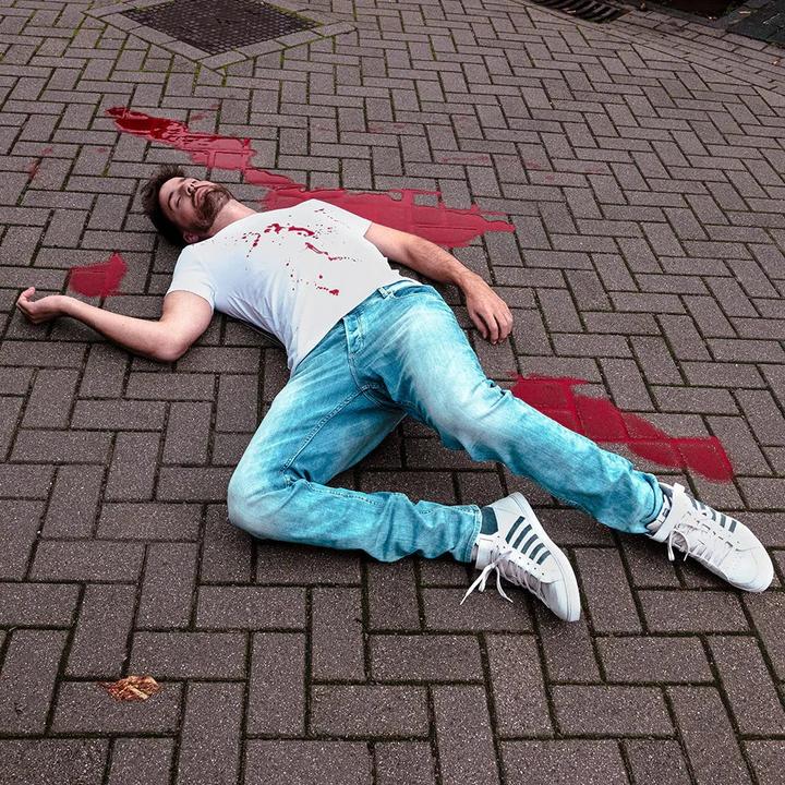 Produktbild Boland Kunstblut