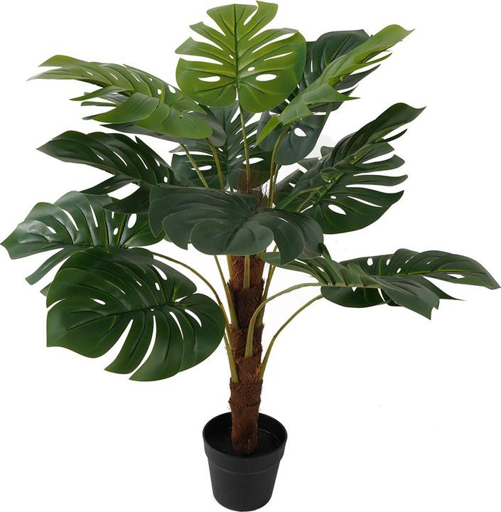 present time Monstera (98 cm)