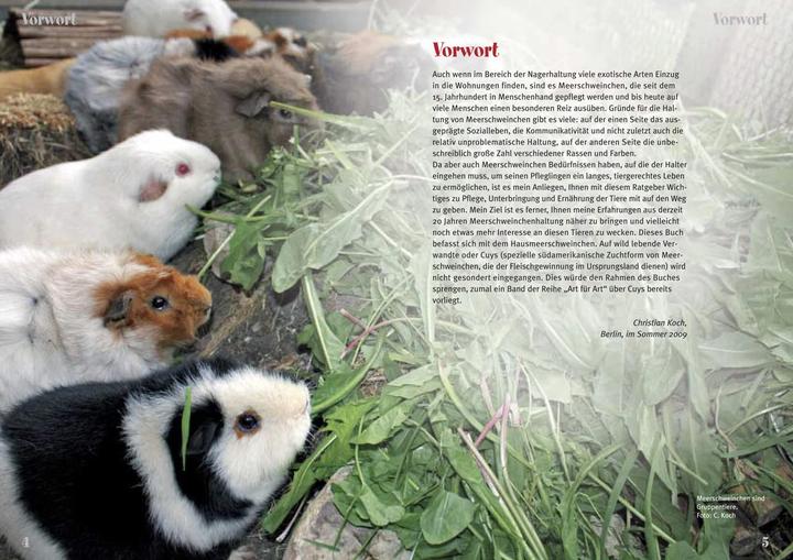 Actual product image Meerschweinchen (German, Christian Koch)