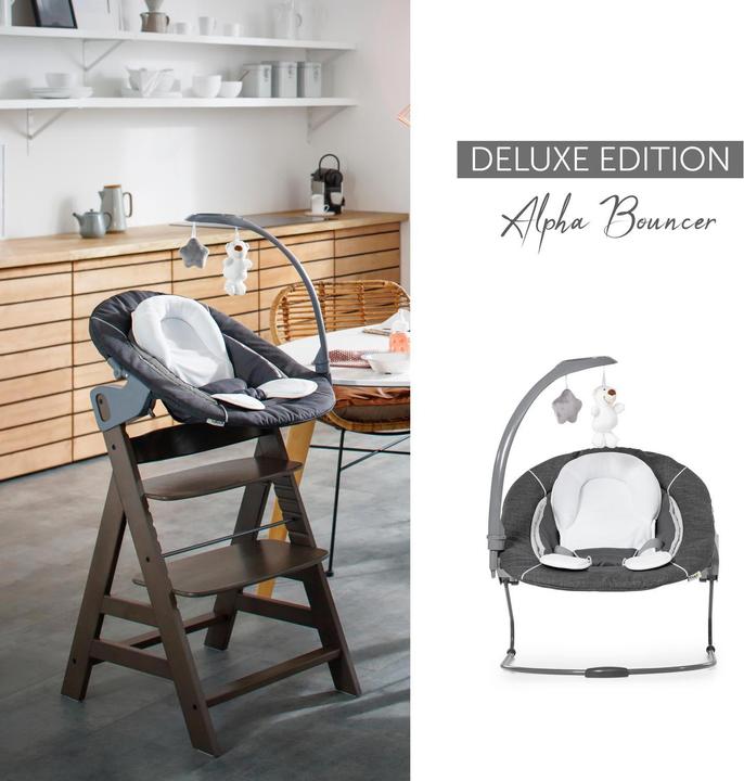 Actual product image Hauck Alpha Bouncer Deluxe