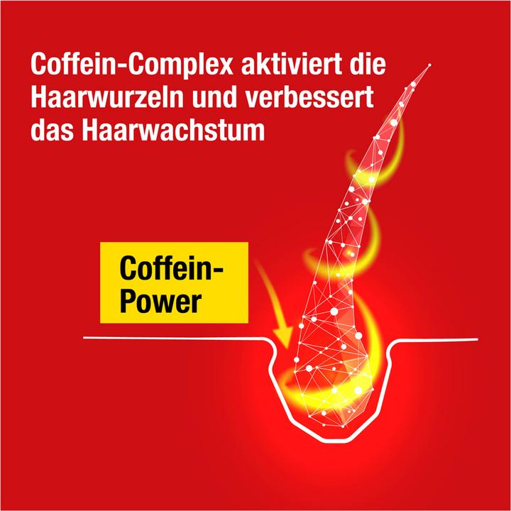 Actual product image Alpecin Caffeine Shampoo C1 (250 ml, Liquid shampoo)