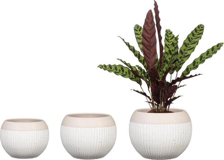 Actual product image Scheurich Blumentopf Blanco 719, 17.5 cm, Weiss, Detailfarbe: Beige (17.50 cm)