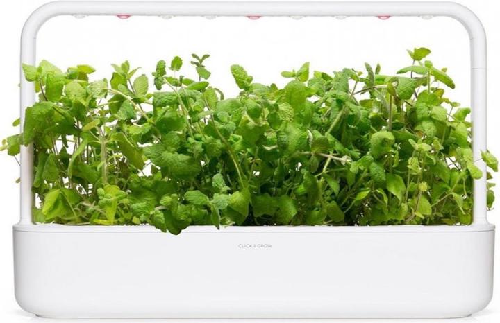 Image du produit Click and Grow Menthe à la pomme (Graines d'herbes aromatiques)
