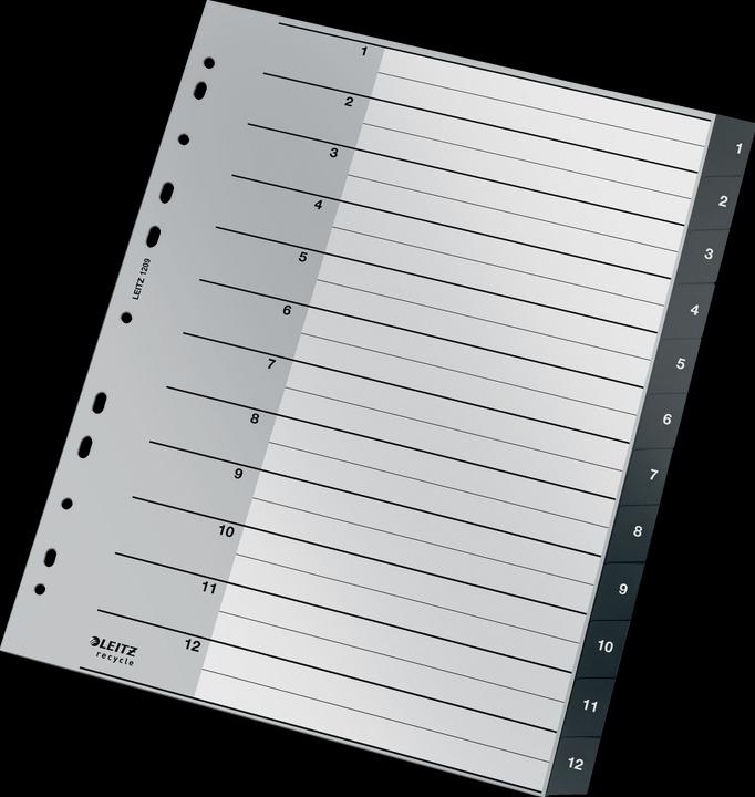 Image du produit Leitz RECYCLE - Enregistrer PP