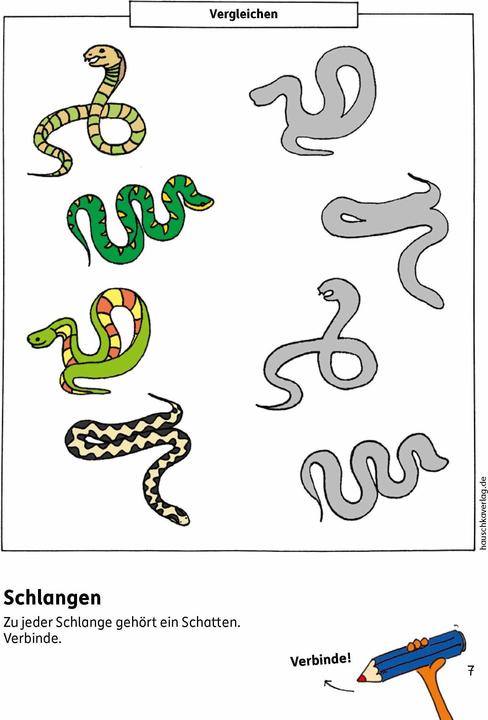 Produktbild Vorschulblock - Konzentration und Wahrnehmung