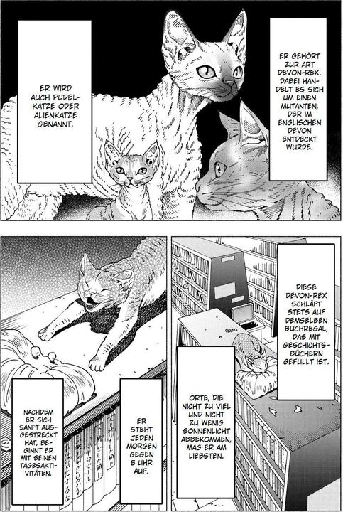 Immagine prodotto Panini Night of the Living Cat 04 - Die Katze aus einer anderen Welt - D-Rex (Tedesco, Hawkman, Mecha-Roots, 2024)