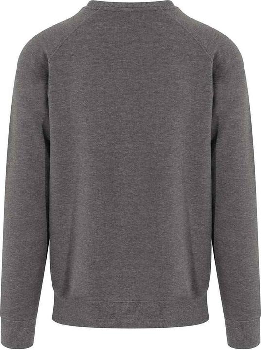Immagine prodotto Awdis Graduate Felpa Uomo (3XL)