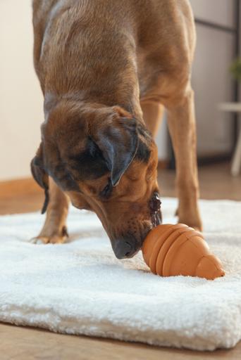 Actual product image Beeztees Sumo Play (Dog chew toy)