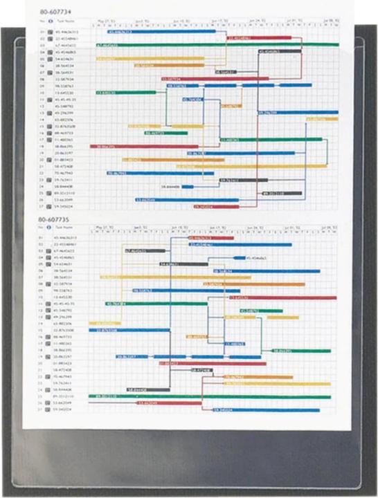 Immagine prodotto Biella 3L Tasche di visualizzazione A4 (A4, 50 x)