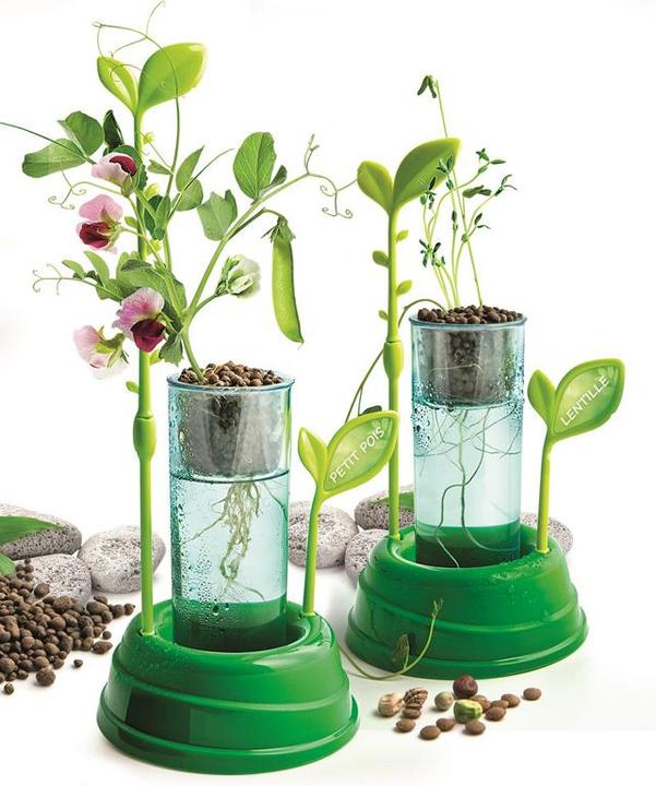Produktbild Clementoni Botanique et Hydroponie F