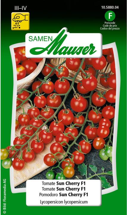 Samen Mauser Tomate Sun Cherry F1 (Gemüsesamen)