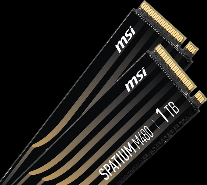 Produktbild MSI Spatium M480 (1000 GB, M.2 2280)