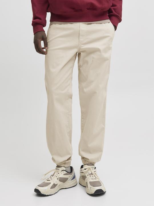 Actual product image Jack & Jones Jpstkane Troy Cuffed Jogger Sn (L)