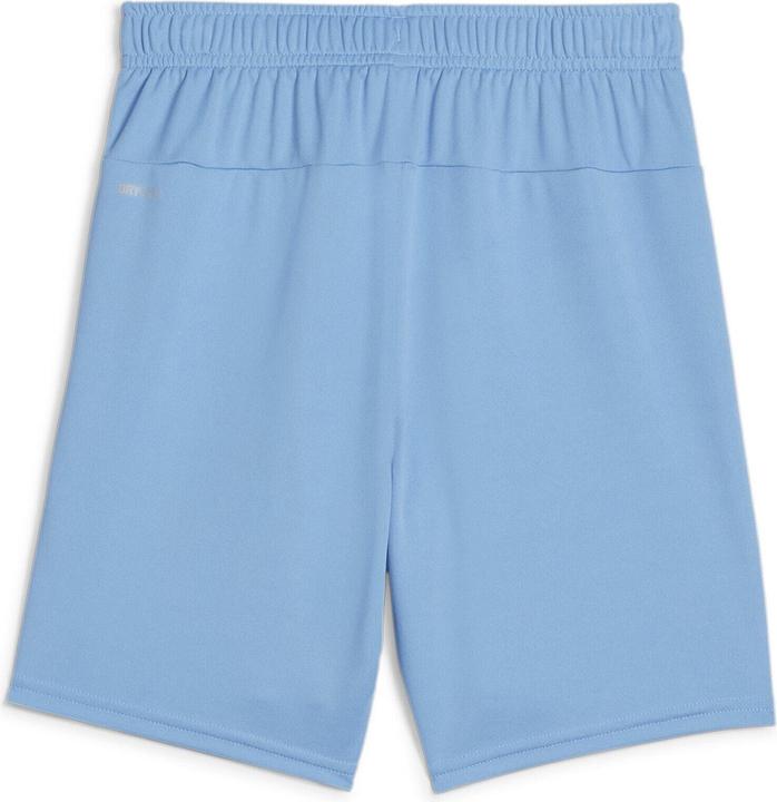 Actual product image Puma teamGOAL Shorts Jr (164)