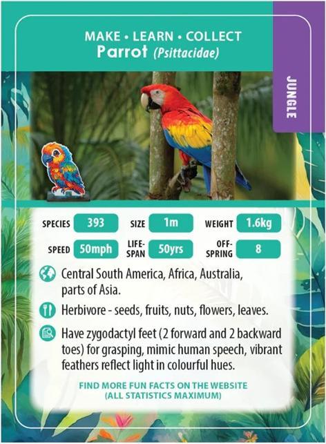 Actual product image Craft Buddy Jungle Papagei, Crystal Art Buddy, ca. 11x8cm