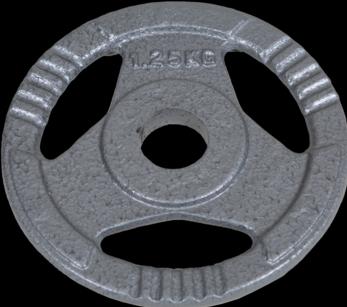 Produktbild Fitcom Hantelscheiben Guss 30 mm (1 x 1.25 kg)