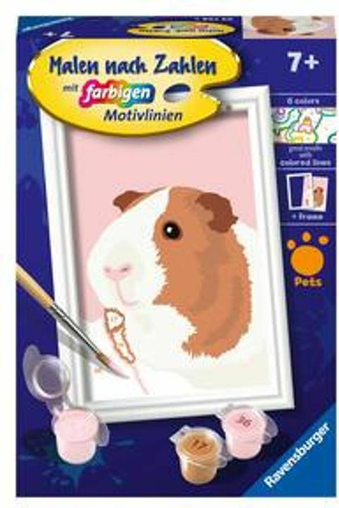 Actual product image Ravensburger Painting by numbers 23758 - Cute guinea pig - Children aged 7 and over