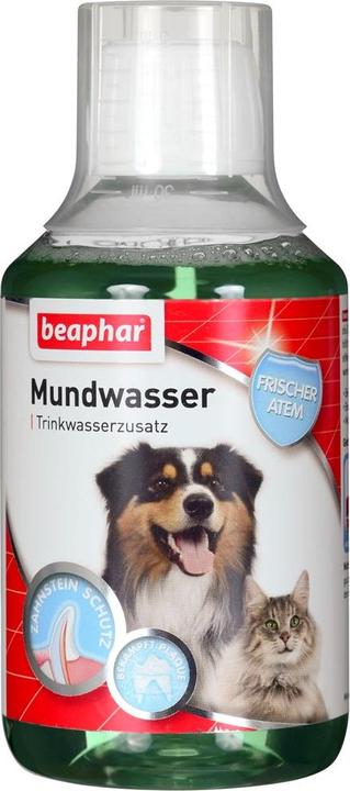 Actual product image beaphar Oral & Dental Care skirta dogs ir cats 250 ml (Cat, Dog, 250 ml)