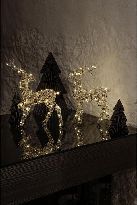 Image du produit STT Gold reindeer, 30