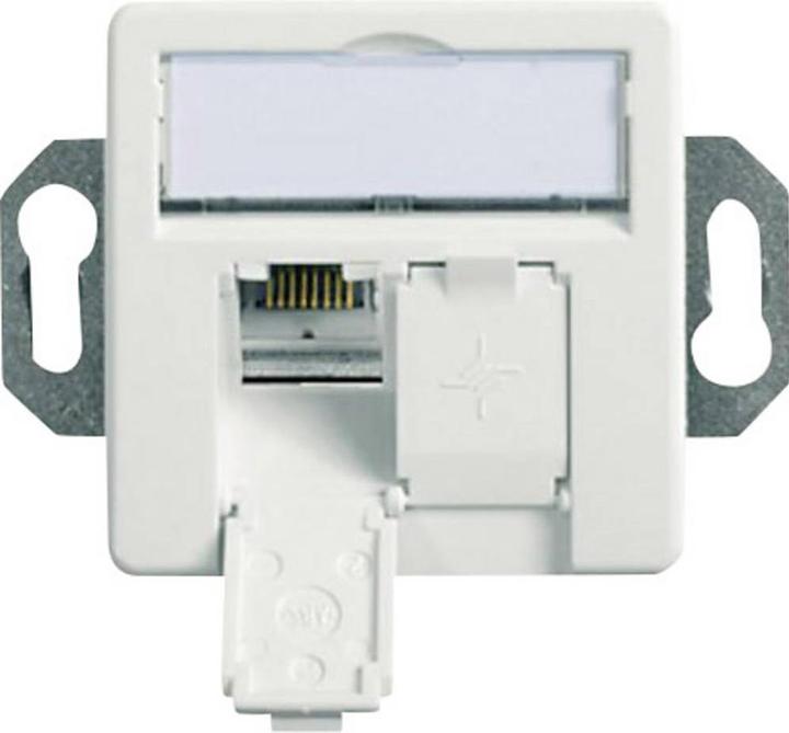 Telegärtner AMJ45 network wall outlet RJ-45 (W) shielded CAT 6 Alpine White 1 piece