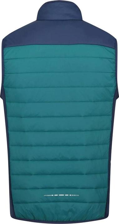 Actual product image Regatta Halton VI Waistcoat Lightweight (L)