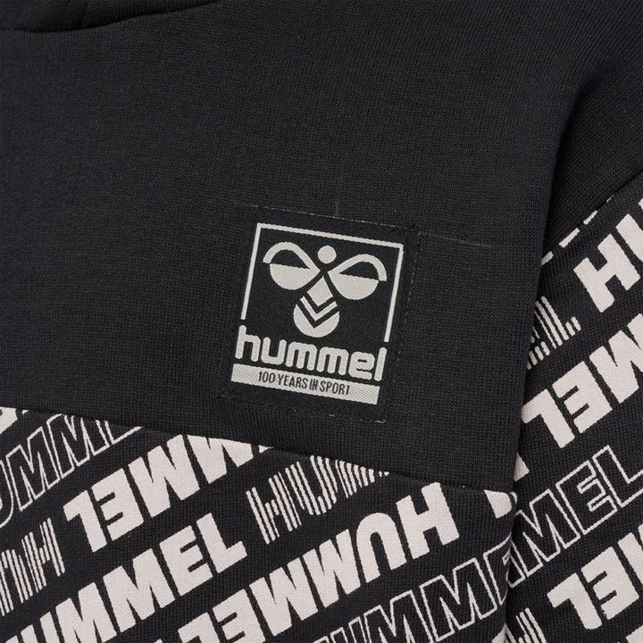 Immagine prodotto hummel hmlCAMERON HOODIE (104)