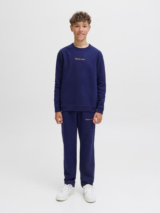 Actual product image Jack & Jones Junior Hose KANE NORREBRO Sweathose (152)