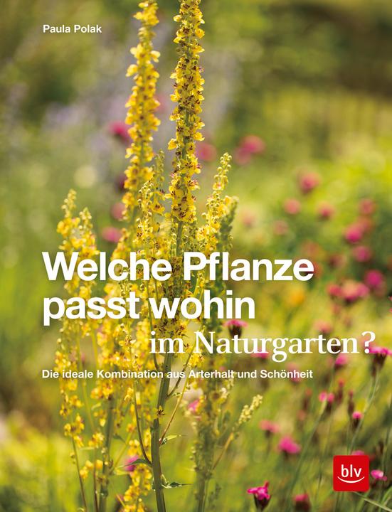 Produktbild Welche Pflanze passt wohin im Naturgarten? (Deutsch, Paula Polak, 2020)