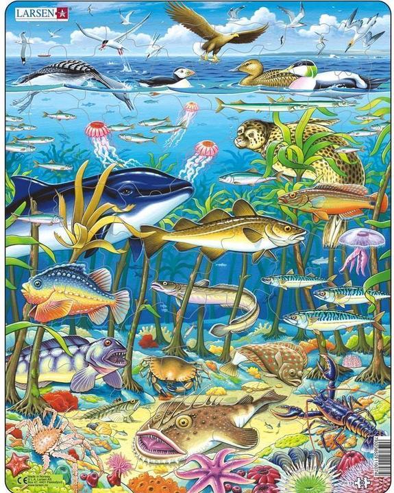 Actual product image Larsen Marine life in the North Atlantic (60 pieces)