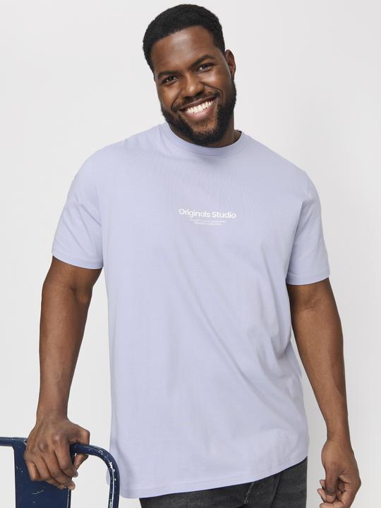 Actual product image Jack & Jones Jorvesterbro Tee Ss Crew Neck Noos Pls (XXL)