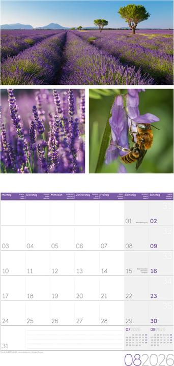 Produktbild Colours of Nature Kalender 2026 - 30x30 (30 x 30 cm, Harter Einband, Deutsch, Französisch, Englisch)