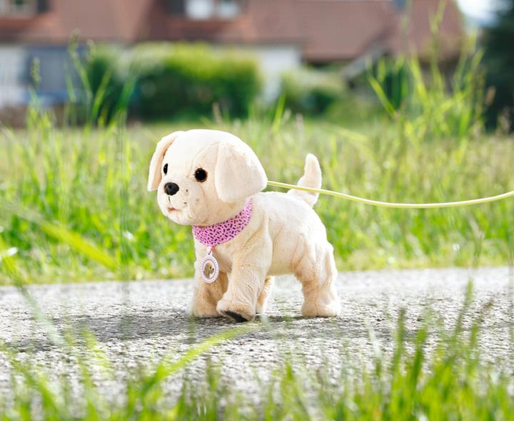 Produktbild Zapf Creation Baby Born - My Lucky Dog