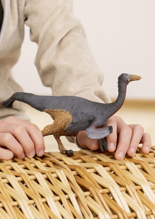 Image du produit Schleich Gallimimus
