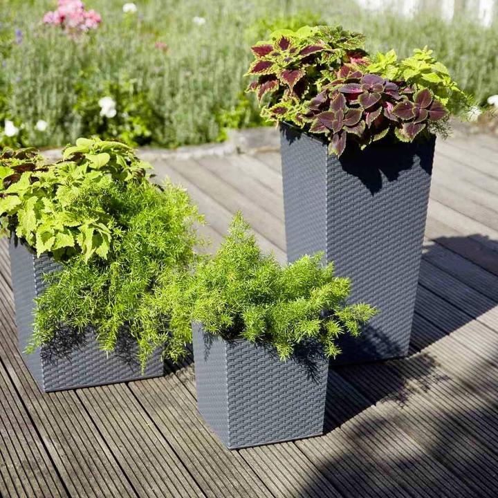 Immagine prodotto Siena Garden Modern (40 cm)