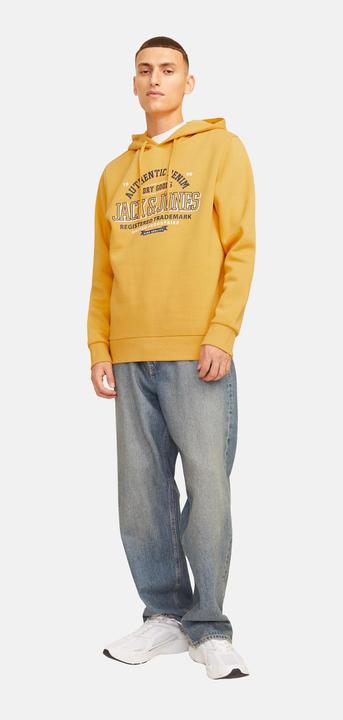 Produktbild Jack & Jones JJELOGO SWEAT HOOD 2 COL 24/25 NOOS (L)