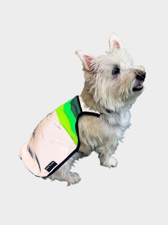 Dog clothing