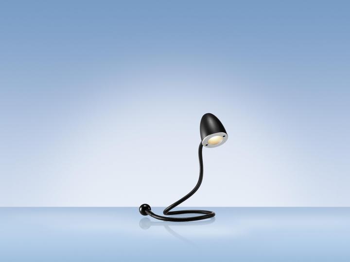 Image du produit Hansa Serpent (100 lm)