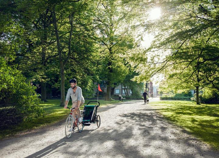 Actual product image Thule Chariot Lite 1