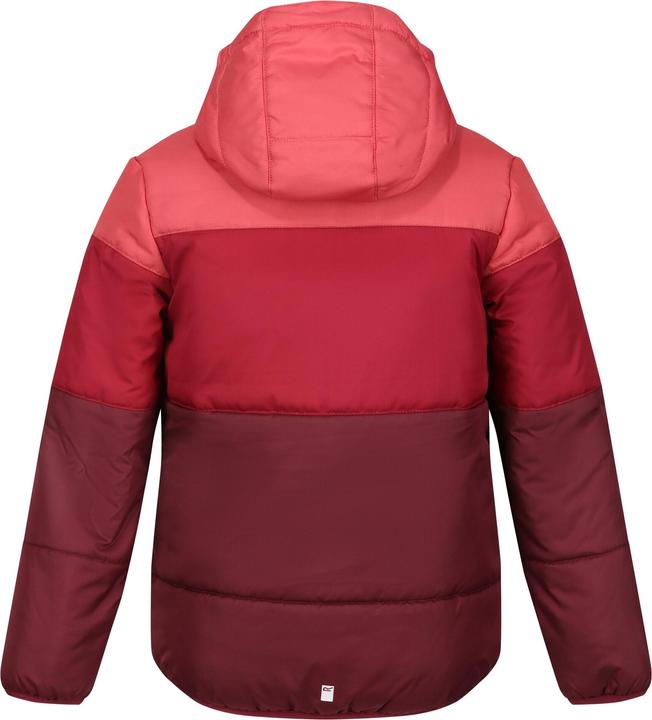 Actual product image Regatta Childrens/Kids Lofthouse VII Terrain Print Padded Jacket (146, 152)
