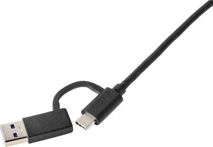 Immagine prodotto Renkforce RF-4715072 (USB-C, HDMI, DVI, USB-A, 4.60 cm)