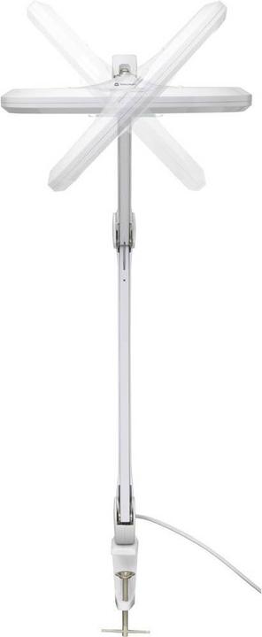 Image du produit Toolcraft TO-7427319 (1160 lm)